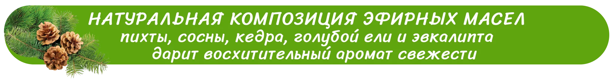 пихта