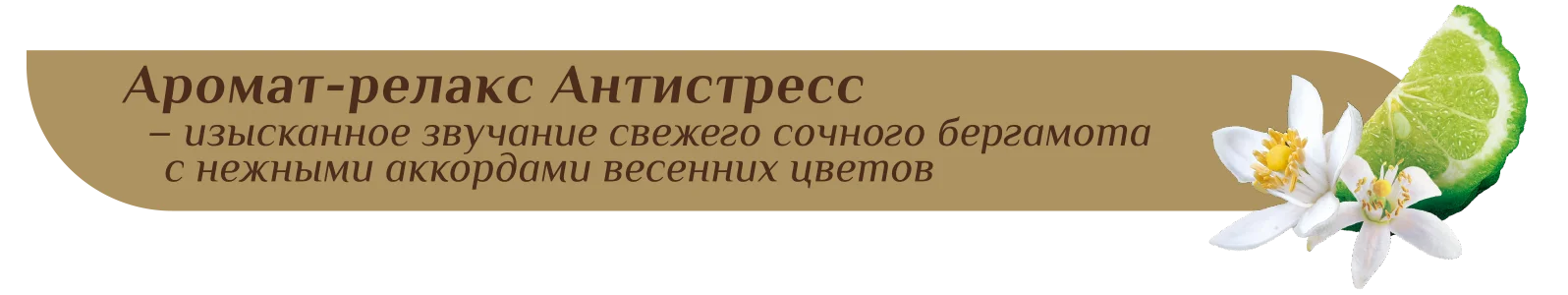 30333 ароматы