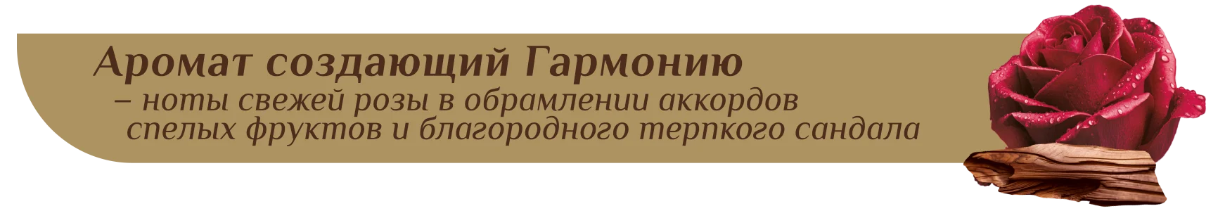 30343 ароматы