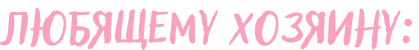 Любимому хозяину