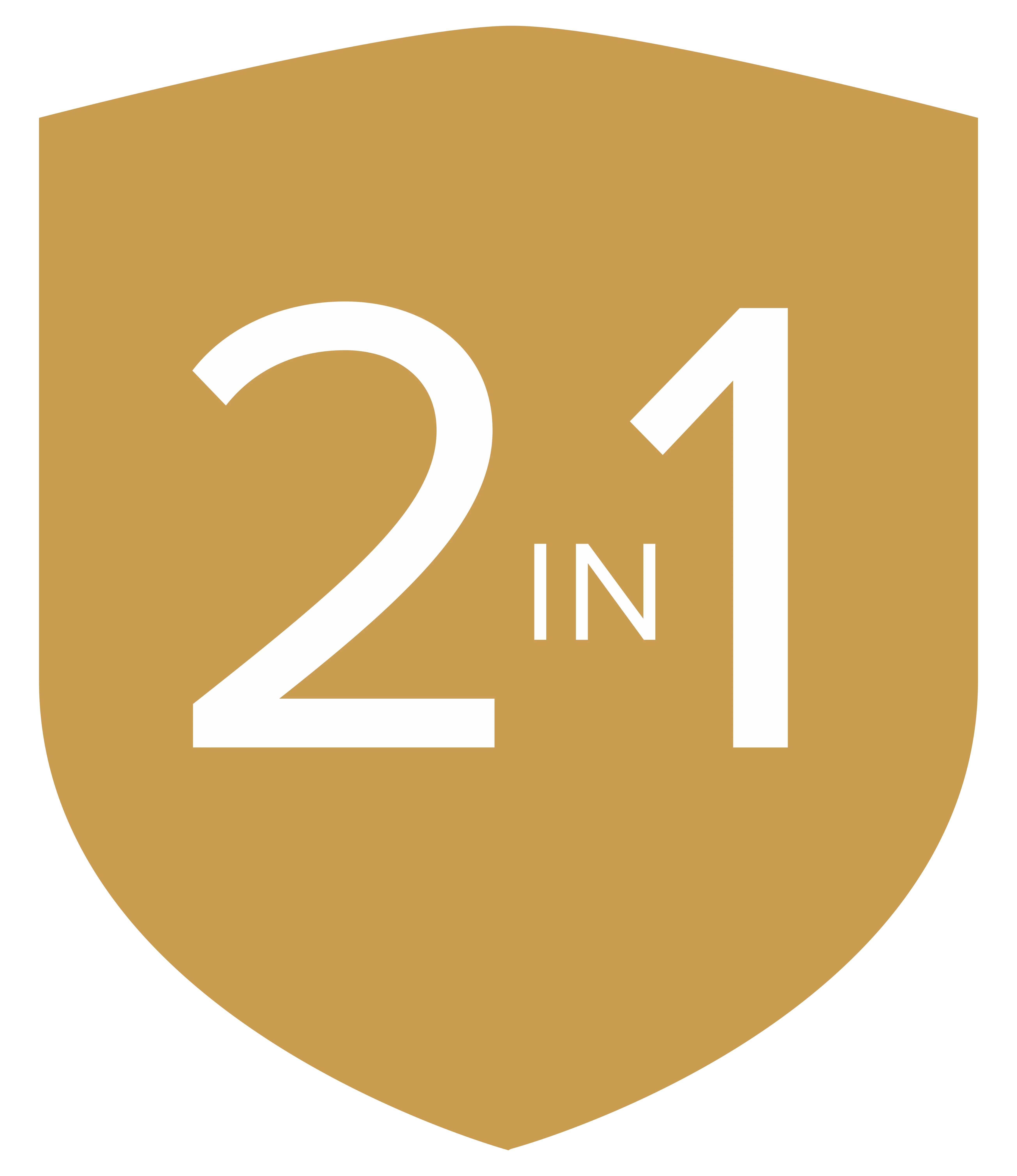 2in1