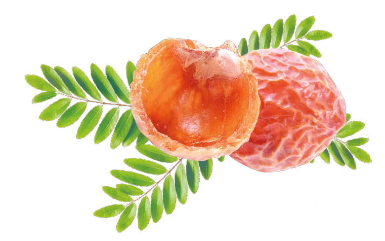 орех