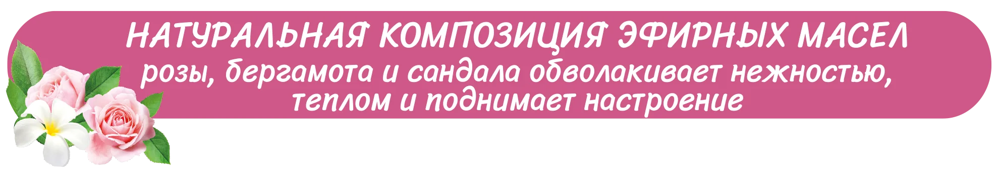 роза