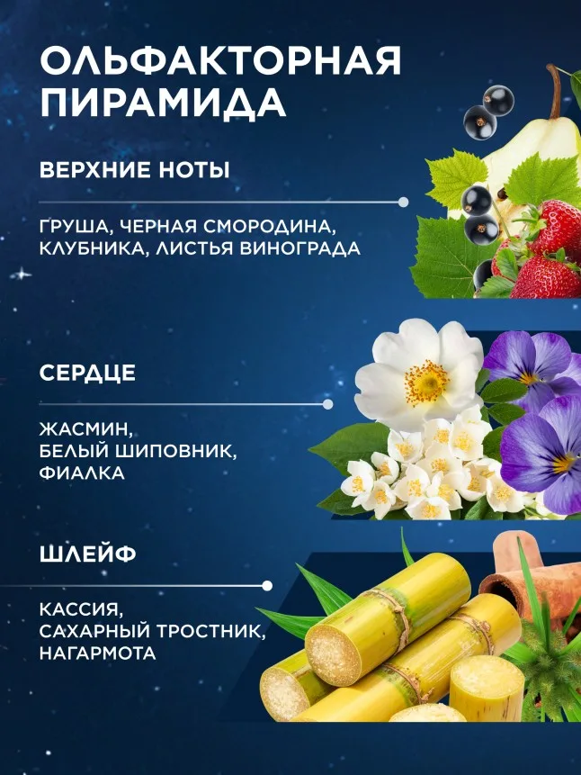 Туалетная вода для женщин Zodiac Terra