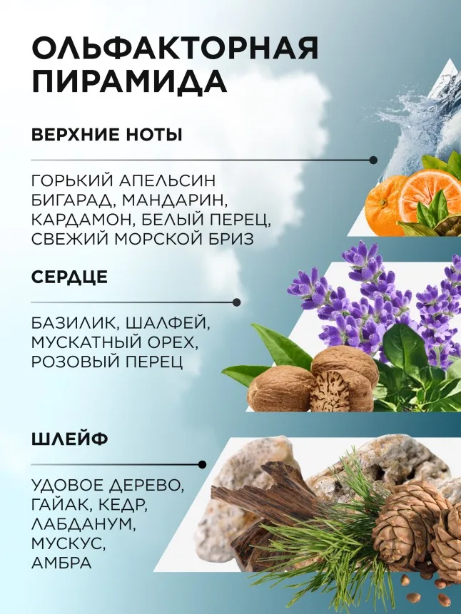Туалетная вода для мужчин Vent d' Aventures