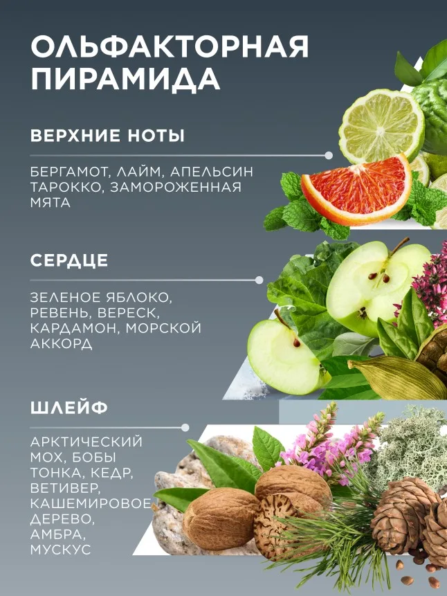 Парфюмерная вода для мужчин Viking