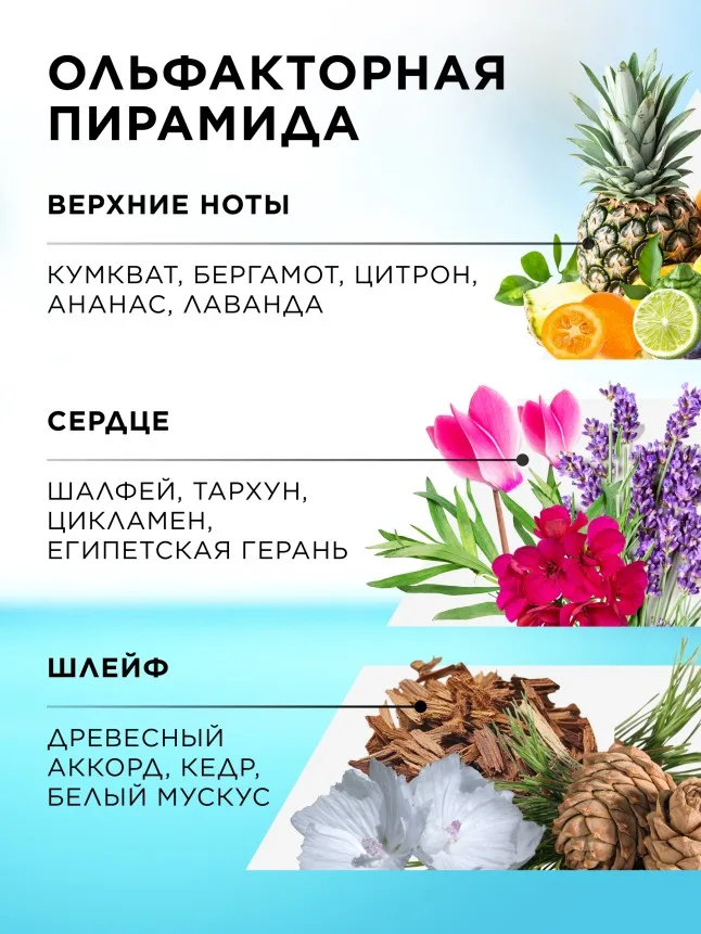 Туалетная вода для мужчин Tavarua