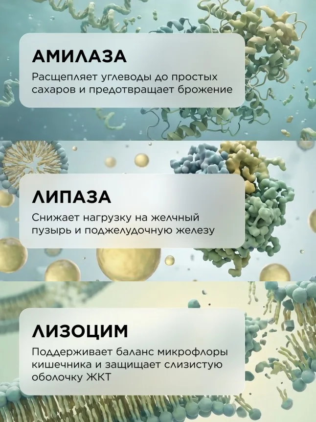 БАД к пище «Ферментный комплекс» Molecular Force